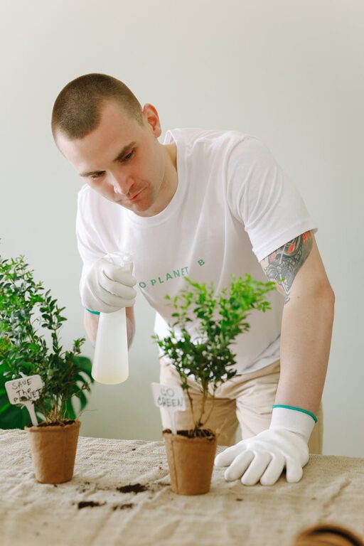 Essential Tips for Keeping Your Houseplants Healthy and Thriving